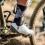 SOX FOOTWEAR Chaussettes vélo Crew X Black