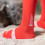 GOBIK chaussettes vélo UNISEX LIGHTWEIGHT 2023