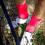 GOBIK chaussettes de cyclisme Pure Rose